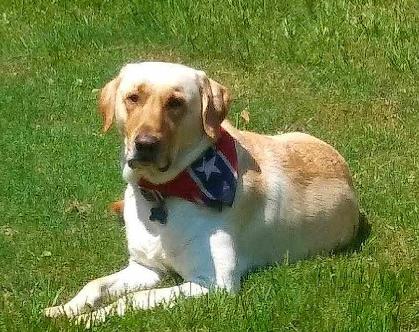 Jameson