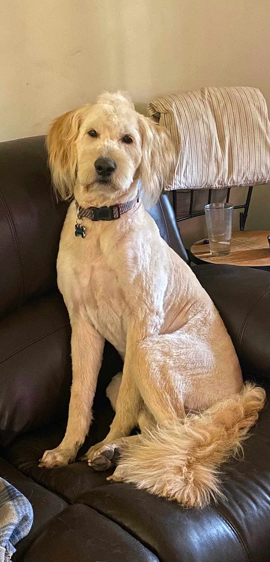 Whiskey