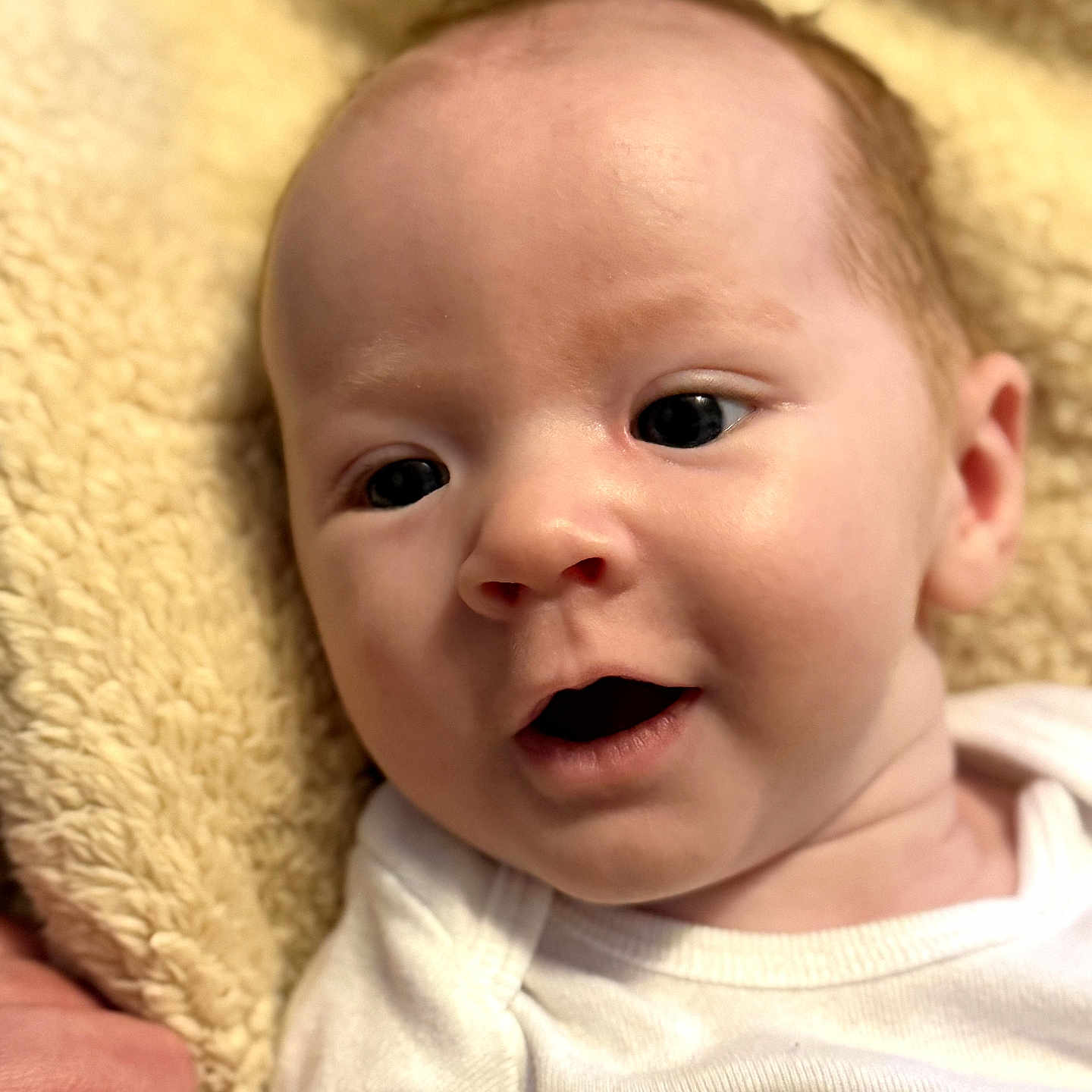 Luke is registered to the contest to win money with this photo: baby, blanket, child, close_up, clothing, cute, expression, eyes, fabric, face, hand, human, indoor, infant, mouth, newborn, portrait, skin, soft_texture, white_outfit