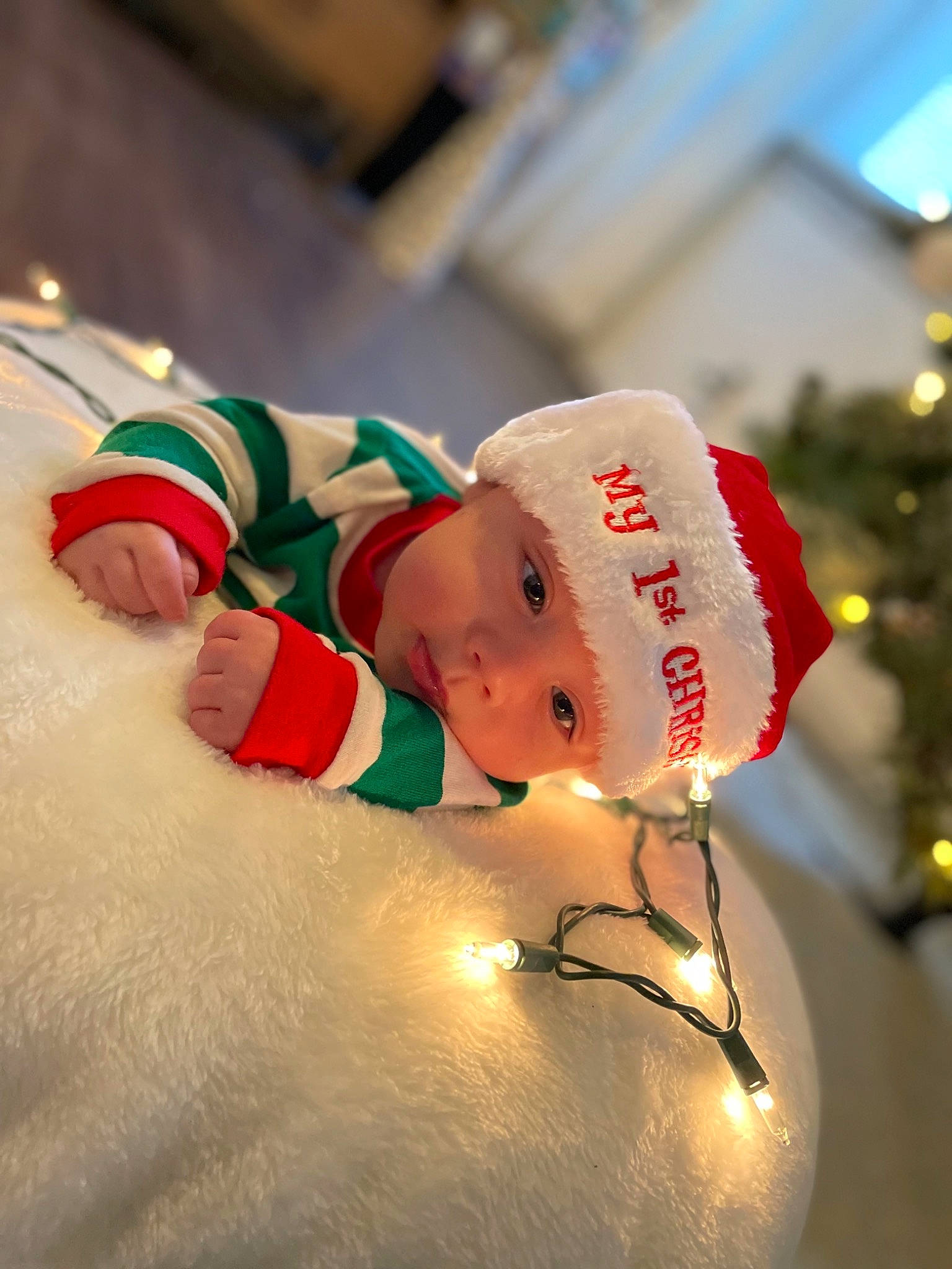 Gray joined the competition — help win amazing prizes! carmine, christmas, christmas_decoration, christmas_eve, christmas_lights, christmas_ornament, conifer, costume_hat, event, fictional_character, happy, headwear, holiday, holiday_ornament, interior_design, ornament, person, santa_claus, smile, toddler