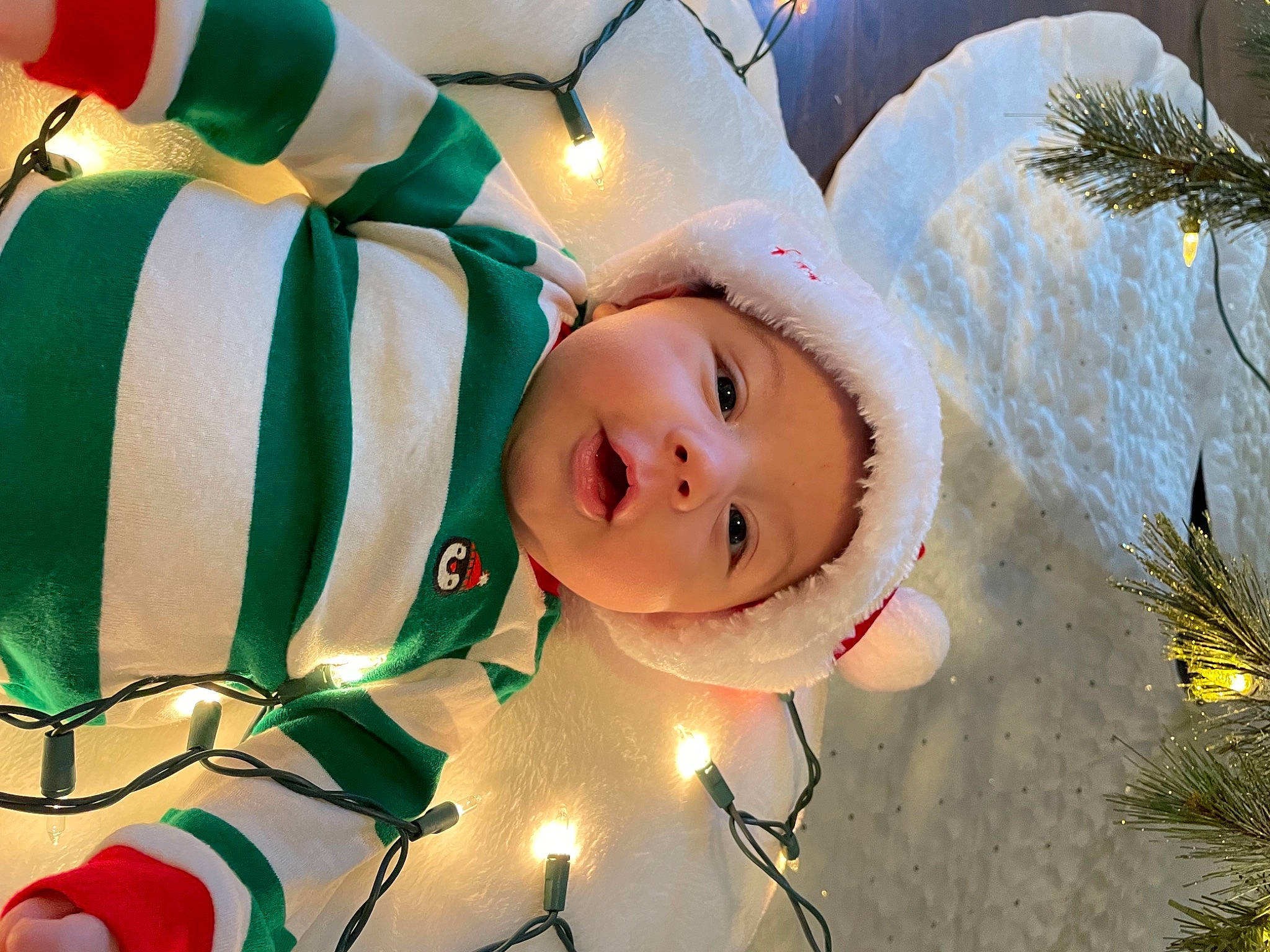 Gray is registered to the contest to win money with this photo: branch, christmas, christmas_decoration, christmas_ornament, christmas_tree, event, green, happy, headwear, holiday, holiday_ornament, light, lighting, ornament, party_supply, person, plant, smile, tree, twig