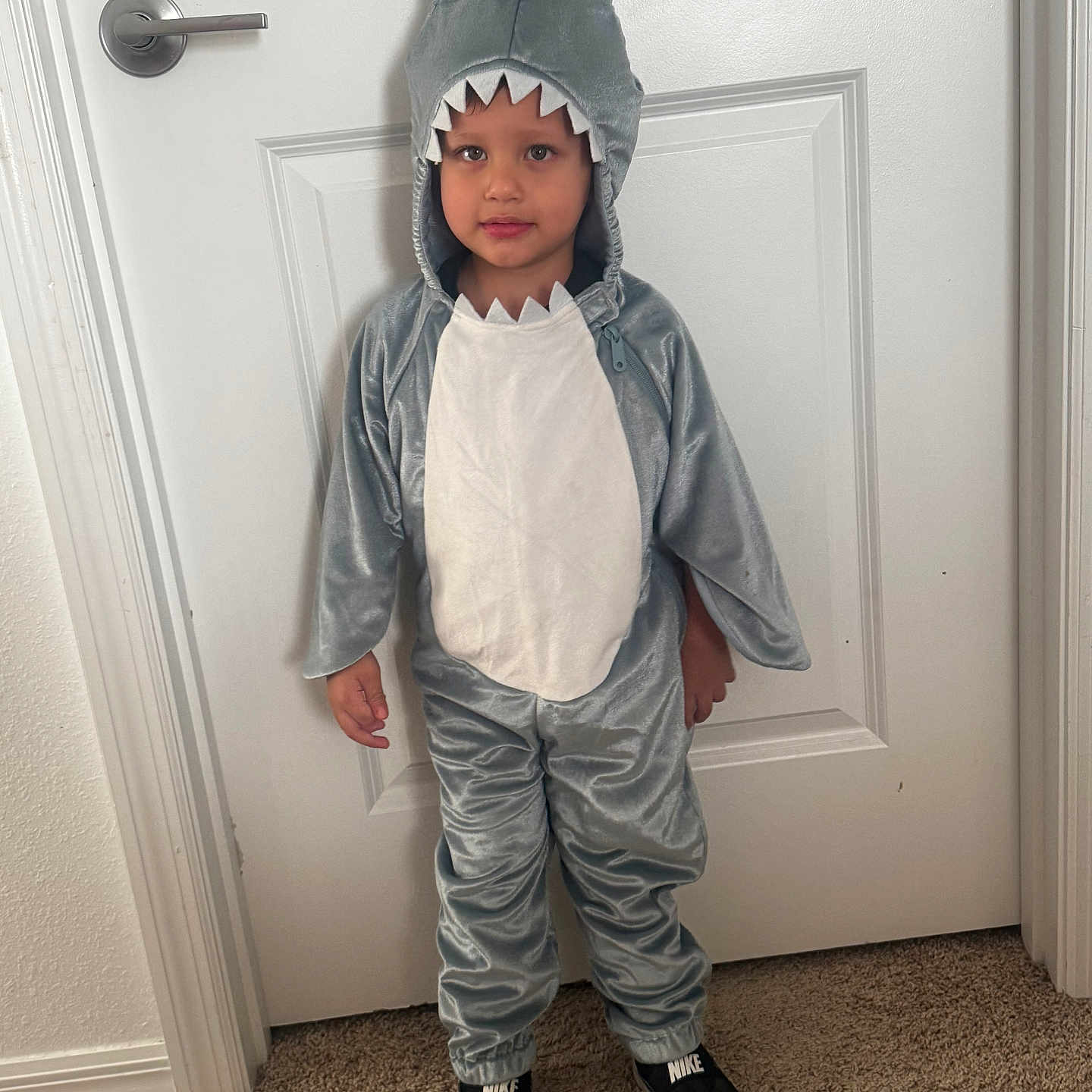 Nicolás joined the competition — help win amazing prizes! child, shark_costume, costume, shark, hood, smiling, portrait, indoor, hallway, door, carpet, shoes, nike, standing, full_body, playful, dress_up, gray, white, home