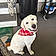 Cooper