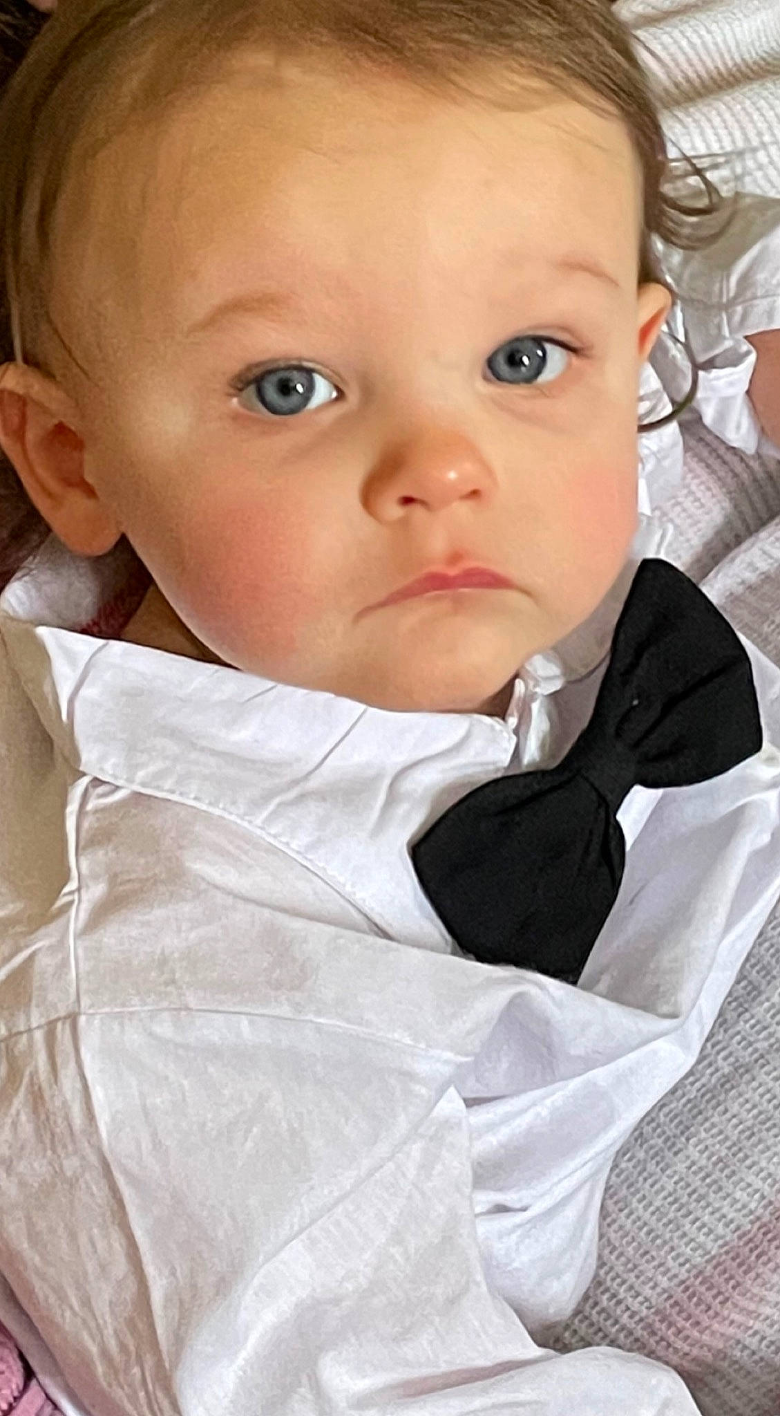Giovanni joined the competition — help win amazing prizes! baby, baby_toddler_clothing, cheek, child, collar, comfort, dress_shirt, eyelash, flash_photography, formal_wear, iris, linens, lip, no_expression, nose, person, shorts, sitting, skin, sleeve
