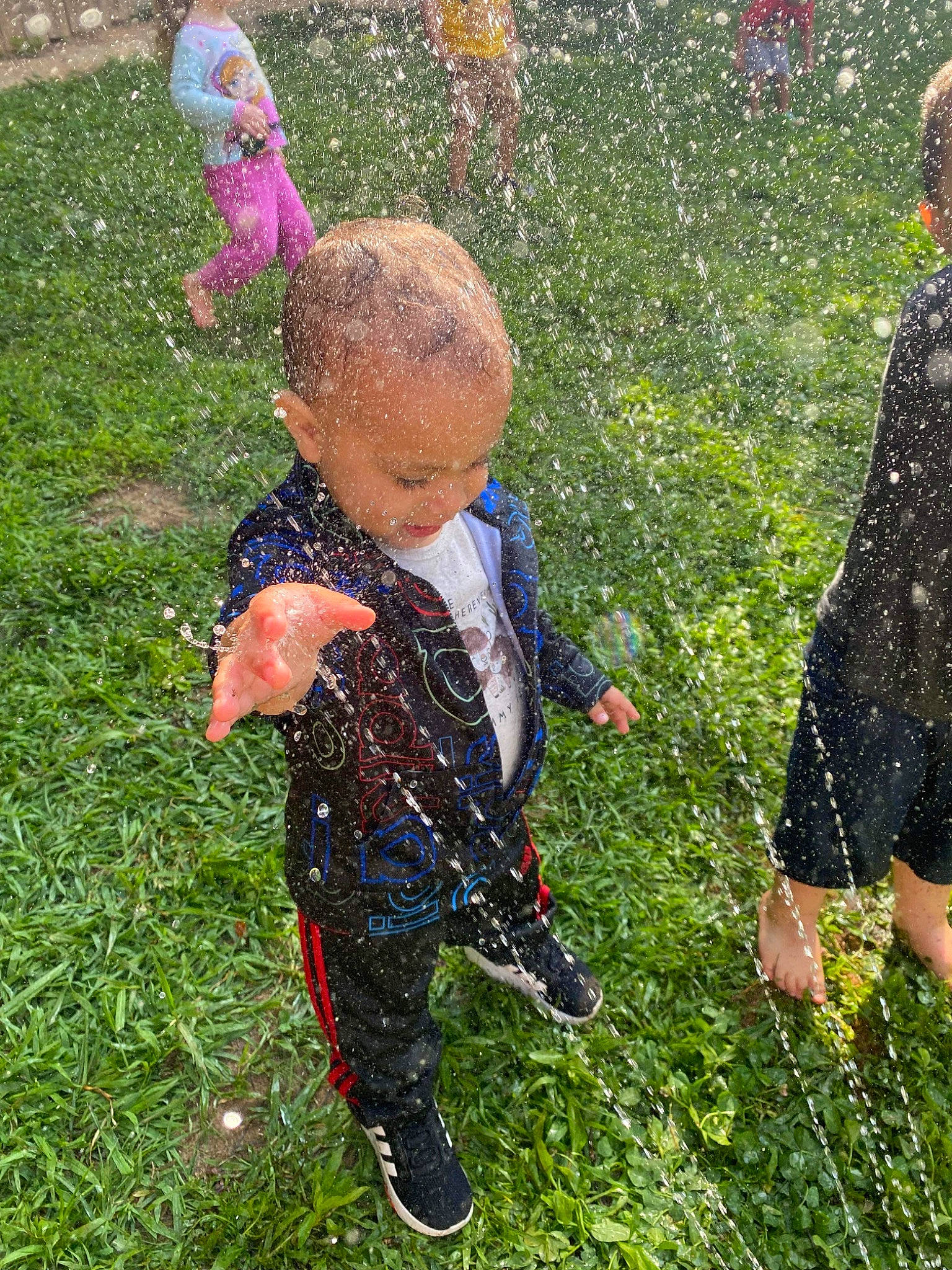 Theodore joined the competition — help win amazing prizes! baby, child, event, fun, garden, grass, grass_family, grassland, lawn, pattern, people_in_nature, person, plant, play, recreation, soil, toddler, walking, yard