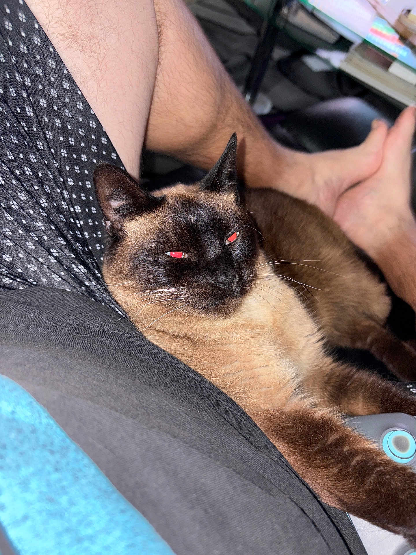 Jade