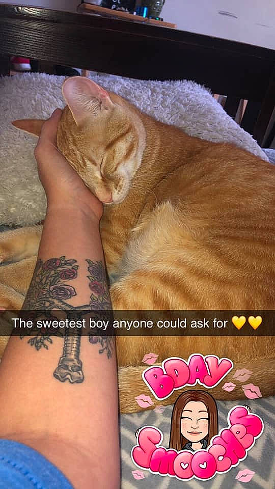 William is registered to the contest to win money with this photo: arm, design, flesh, hand, henna, human_body, human_leg, leg, mehndi, pattern, skin, tattoo, temporary_tattoo, thigh, wrist