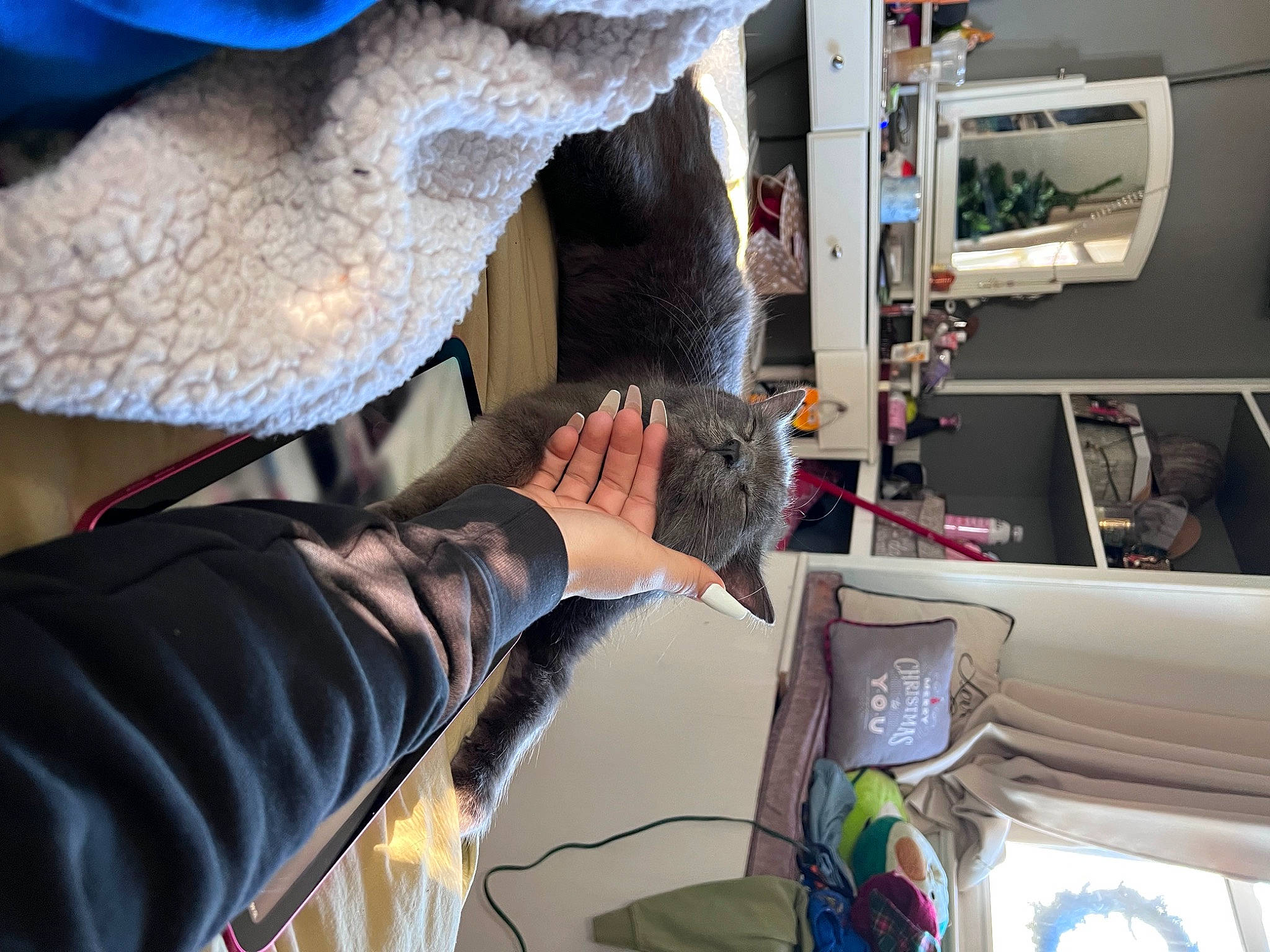 Oliver is registered to the contest to win money with this photo: art, artist, auto_part, automotive_design, automotive_exterior, automotive_window_part, electrical_wiring, engineering, fur, glove, human_leg, machine, motor_vehicle, room, service, t_shirt, vehicle_door, visual_arts, wood, wool