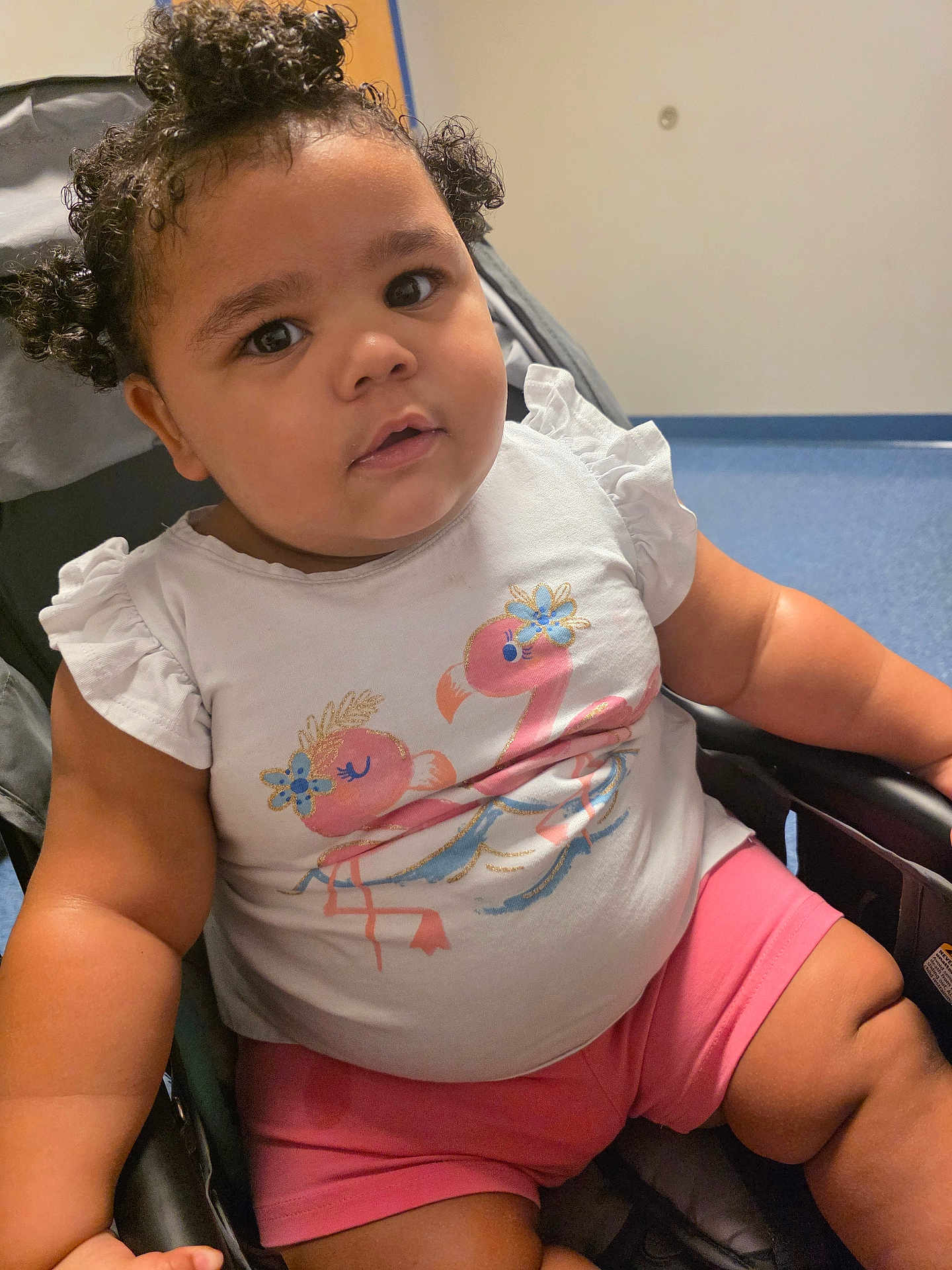 Alisha joined the competition — help win amazing prizes! toddler, child, curly_hair, stroller, pink_shorts, white_shirt, flamingo_print, indoors, cute, chubby_cheeks, seated, person, baby, casual_clothing, curious_expression, furniture, soft_lighting, portrait, young_child, comfortable