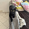 cat, black_cat, pet, animal, sitting, indoors, living_room, armchair, blanket, pillows, couch, furniture, golden_eyes, short_hair, portrait, cozy, home, tile_floor, colorful, alert