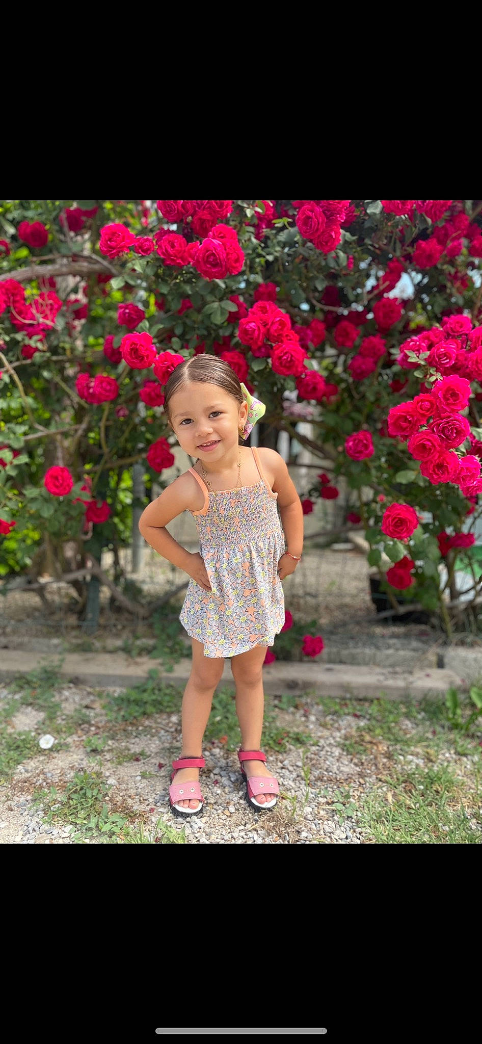 Swaelly participe au concours pour gagner de l'argent avec cette photo : annual_plant, blossom, botany, flower, flowering_plant, grass, happy, joy, leisure, magenta, people_in_nature, person, petal, pink, plant, rose, rose_family, sandal, shrub, toddler