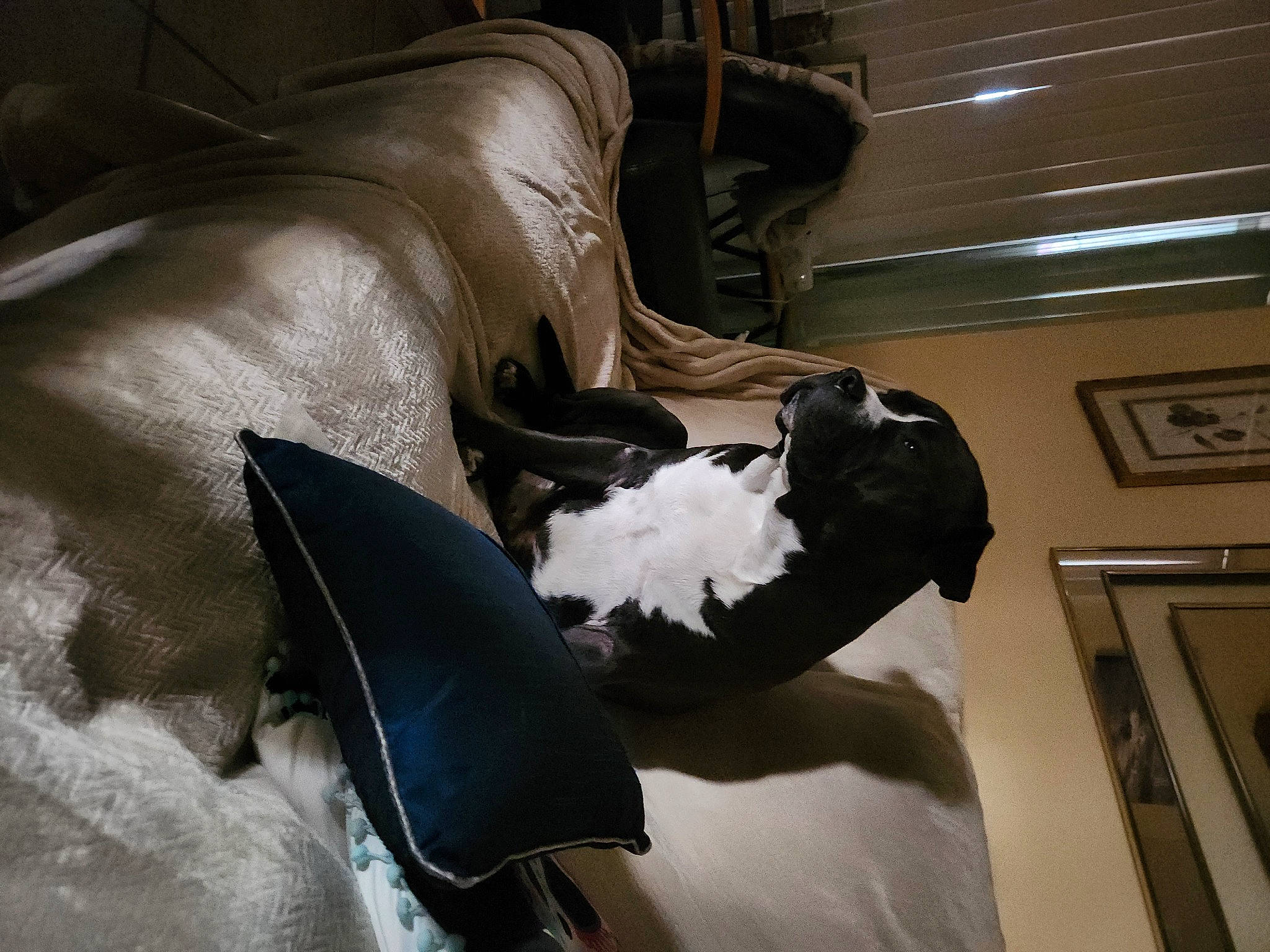 Morty joined the competition — help win amazing prizes! art, auto_part, automotive_design, automotive_exterior, bag, comfort, event, hood, leather, linens, luxury_vehicle, machine, metal, motor_vehicle, paper, paper_product, personal_protective_equipment, picture_frame, room, wing