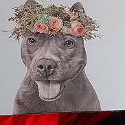 Delilah joined the competition — help win amazing prizes! art, canidae, carnivore, cut_flowers, dog_breed, drawing, flower, illustration, liver, livestock, paint, painting, petal, plant, snout, sporting_group, terrestrial_animal, visual_arts, whiskers, working_animal