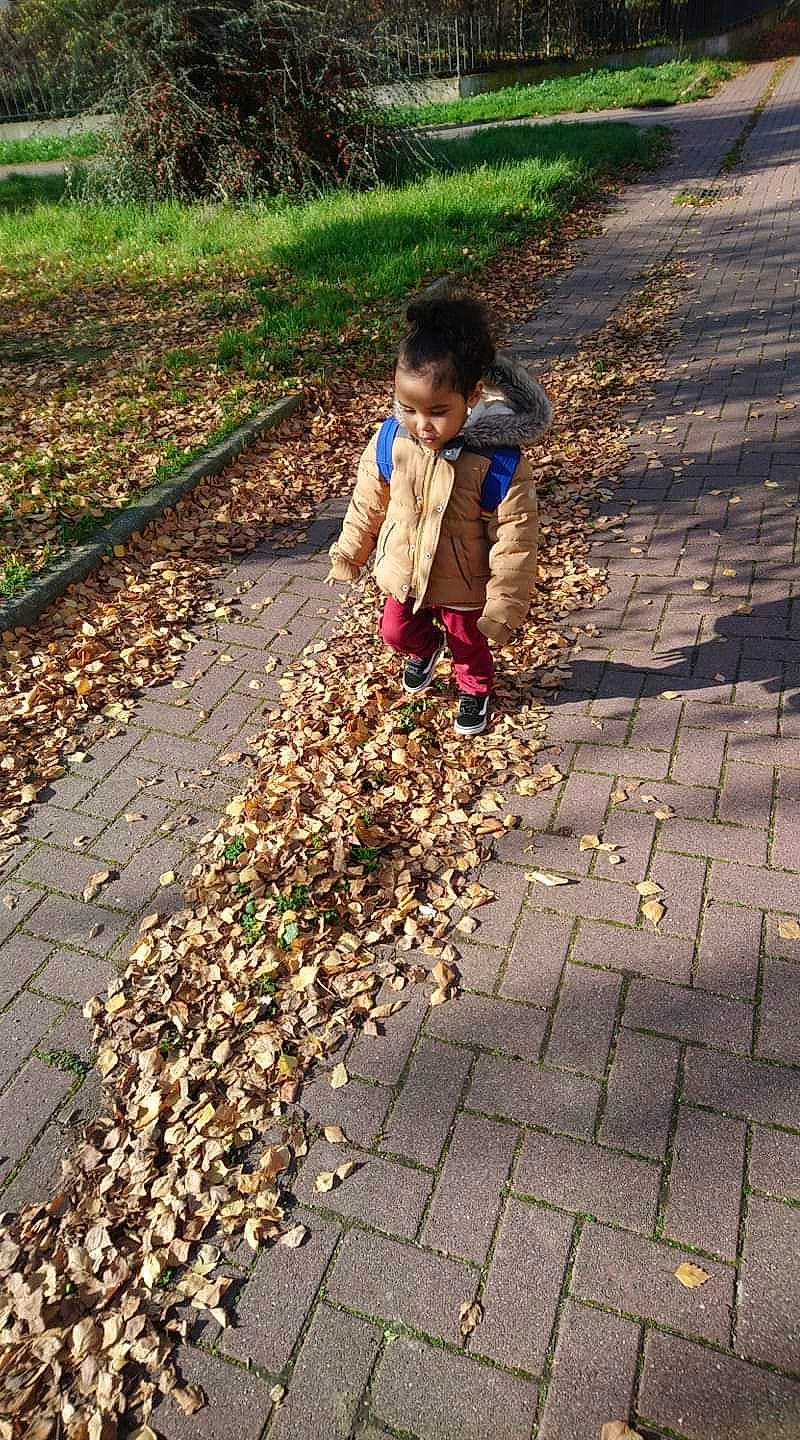 Kenny a rejoint le concours — aidez-le/la à gagner de superbes lots ! adaptation, child, cobblestone, leaf, person, plant, play, soil