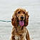 Arlo