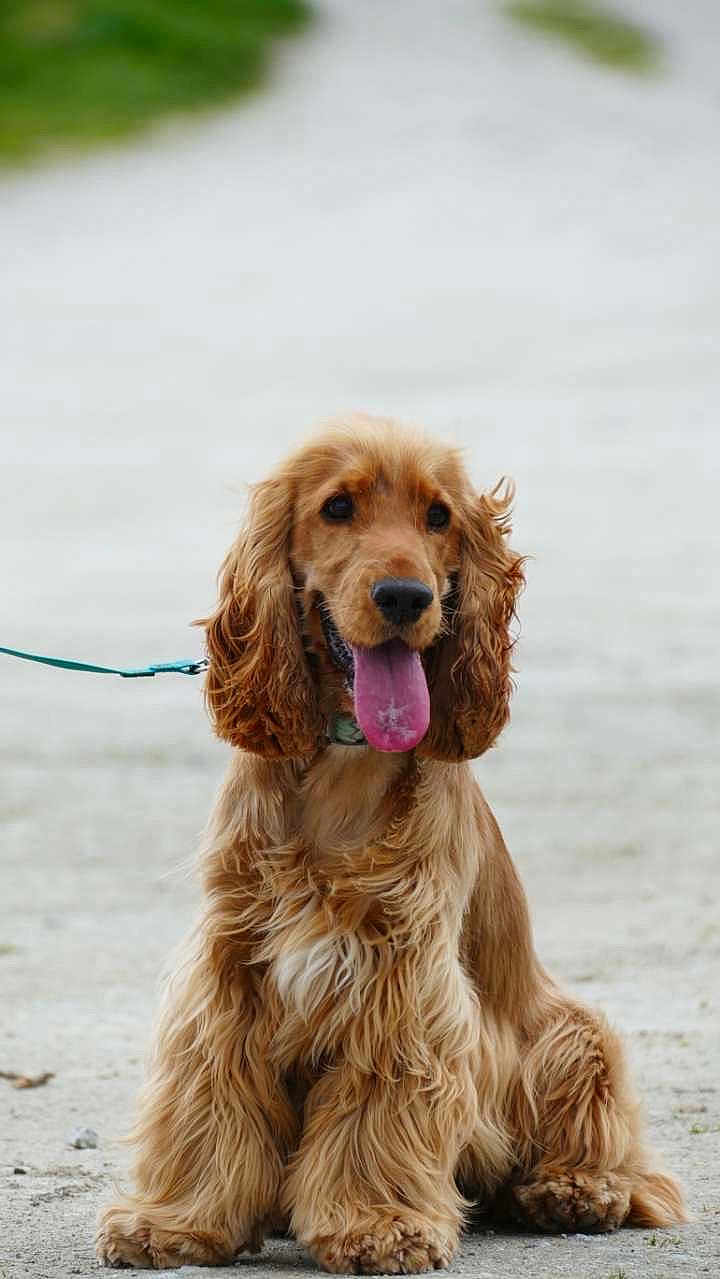 Arlo