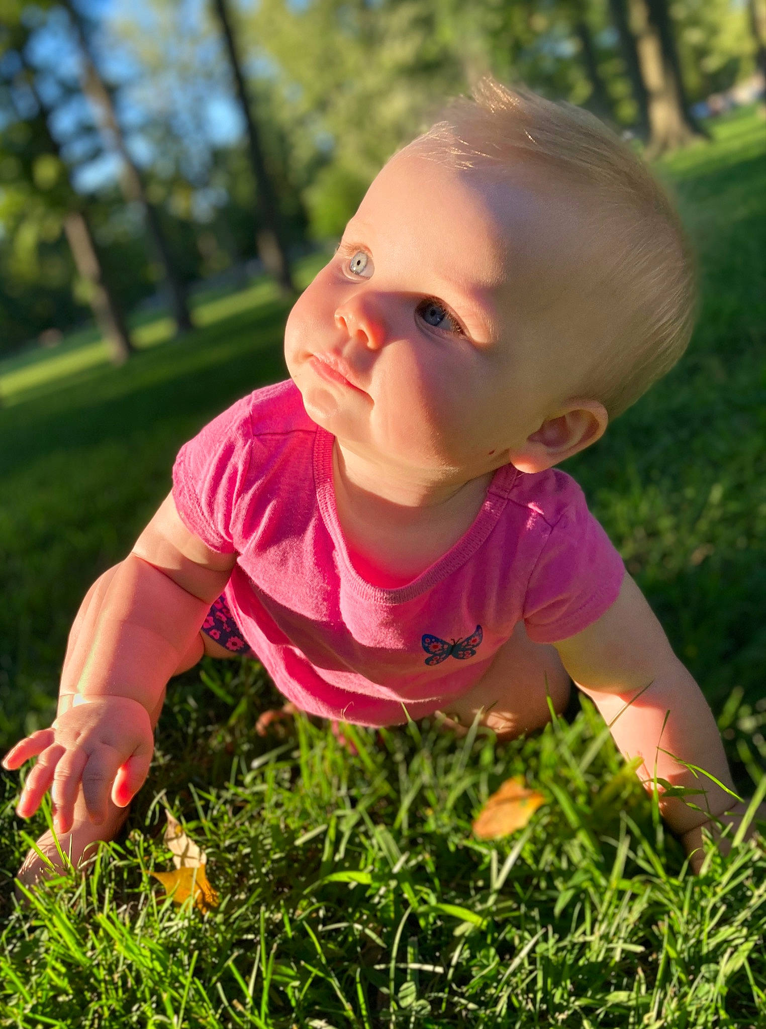Cambree joined the competition — help win amazing prizes! baby, baby_toddler_clothing, botany, child, facial_expression, finger, fun, grass, grassland, happy, mammal, people, people_in_nature, person, pink, plant, summer, sunlight, toddler, tree