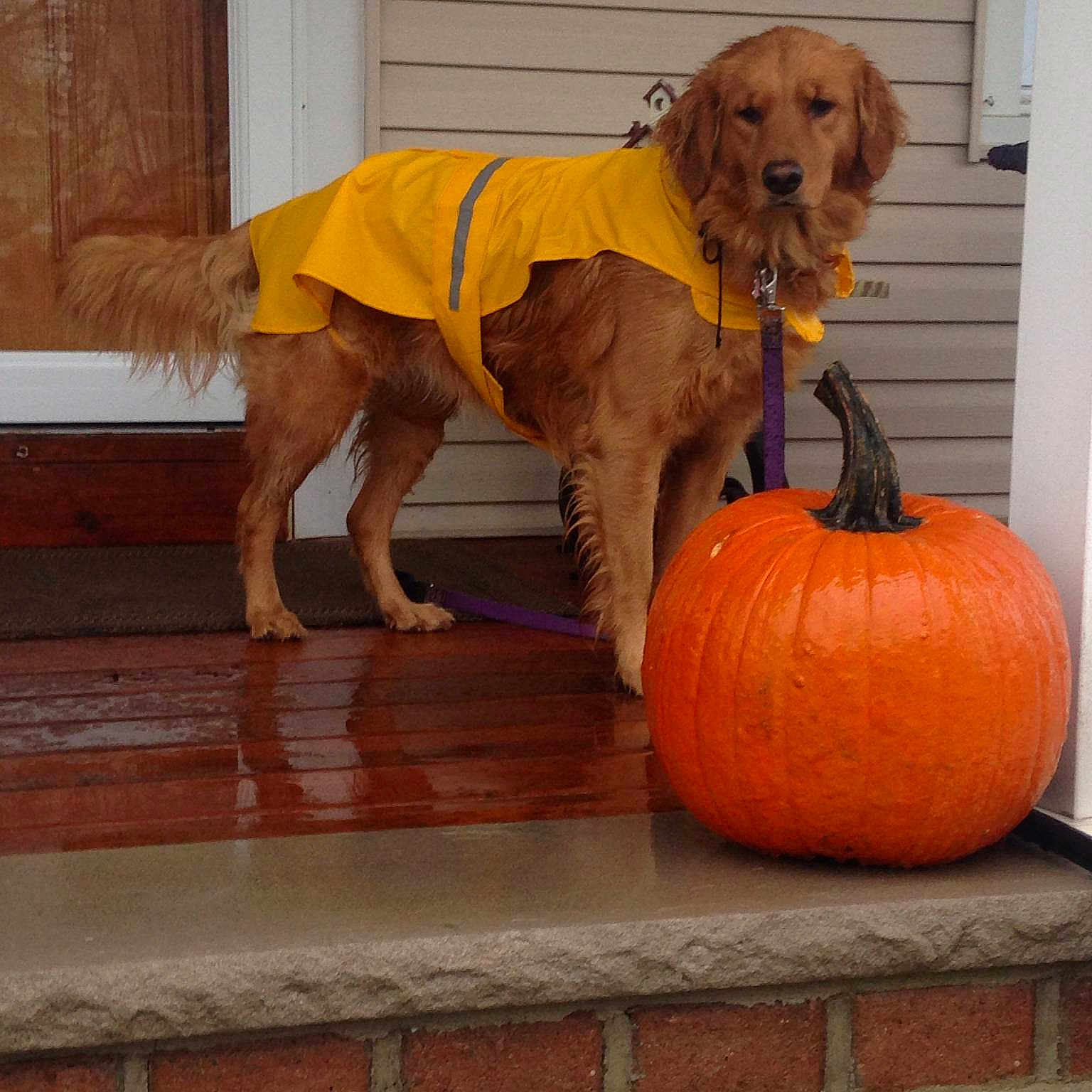 Charlotte is registered to the contest to win money with this photo: