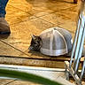 Jasper is registered to the contest to win money with this photo: kitten, cat, baseball_cap, tile_floor, footwear, boot, furniture_leg, indoor, curious, pet, animal, small, playful, flooring, hat, headwear, domestic, young, whiskers, eyes