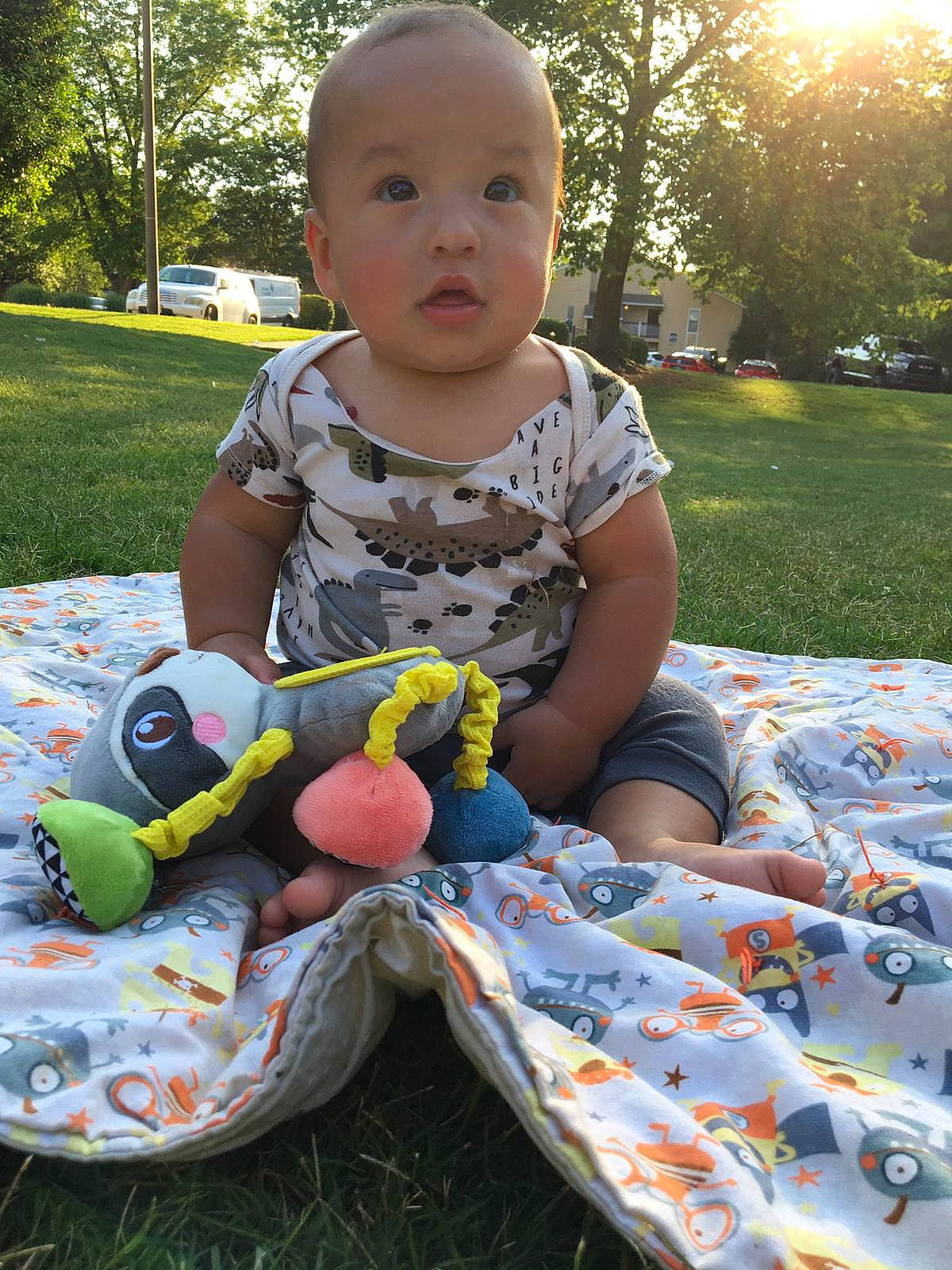 Vincent joined the competition — help win amazing prizes! baby, baby_toddler_clothing, botany, child, face, fun, grass, happy, head, human_body, leaf, light, nature, people_in_nature, person, plant, product, public_space, toddler, toy