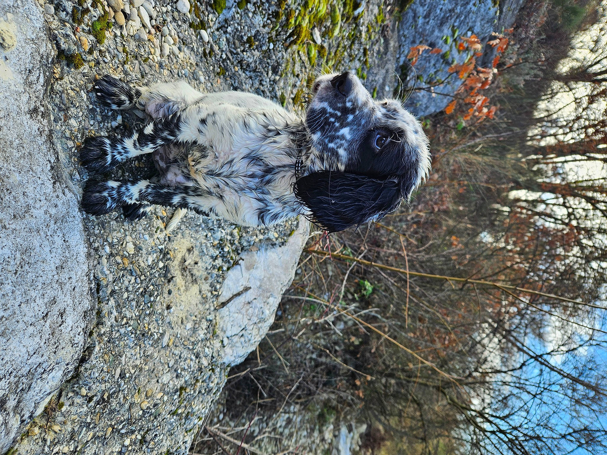 Uka participe au concours pour gagner de l'argent avec cette photo : art, automotive_tire, bedrock, circle, freezing, grass, landscape, outcrop, plant, rock, sculpture, sky, soil, statue, tree, trunk, twig, wildlife, winter, wood
