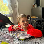 Clément participe au concours pour gagner de l'argent avec cette photo : child, boy, smiling, red_hoodie, table, plate, spoon, napkin, window, natural_light, indoor, dining_room, decor, furniture, happy, person, face, casual, home, tablecloth