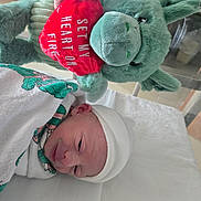 Blaze joined the competition — help win amazing prizes! newborn, baby, blanket, hospital, bassinet, plush_toy, stuffed_animal, donkey, heart_pillow, red, green, white, sleeping, infant, cute, child, wrapped, soft_toy, peaceful, portrait