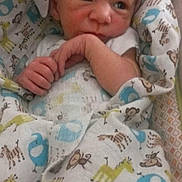 Rudy a rejoint le concours — aidez-le/la à gagner de superbes lots ! baby, newborn, infant, swaddle, patterned_blanket, elephant_pattern, giraffe_pattern, monkey_pattern, hands, face, eyes, wrinkled_forehead, lying_down, indoor, crib_or_bassinet, clothing, portrait, closeup, screenshot, search_button