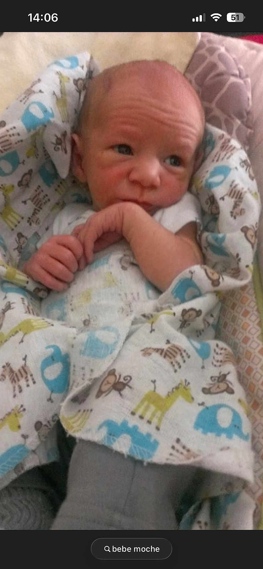 Rudy a rejoint le concours — aidez-le/la à gagner de superbes lots ! baby, newborn, infant, swaddle, patterned_blanket, elephant_pattern, giraffe_pattern, monkey_pattern, hands, face, eyes, wrinkled_forehead, lying_down, indoor, crib_or_bassinet, clothing, portrait, closeup, screenshot, search_button