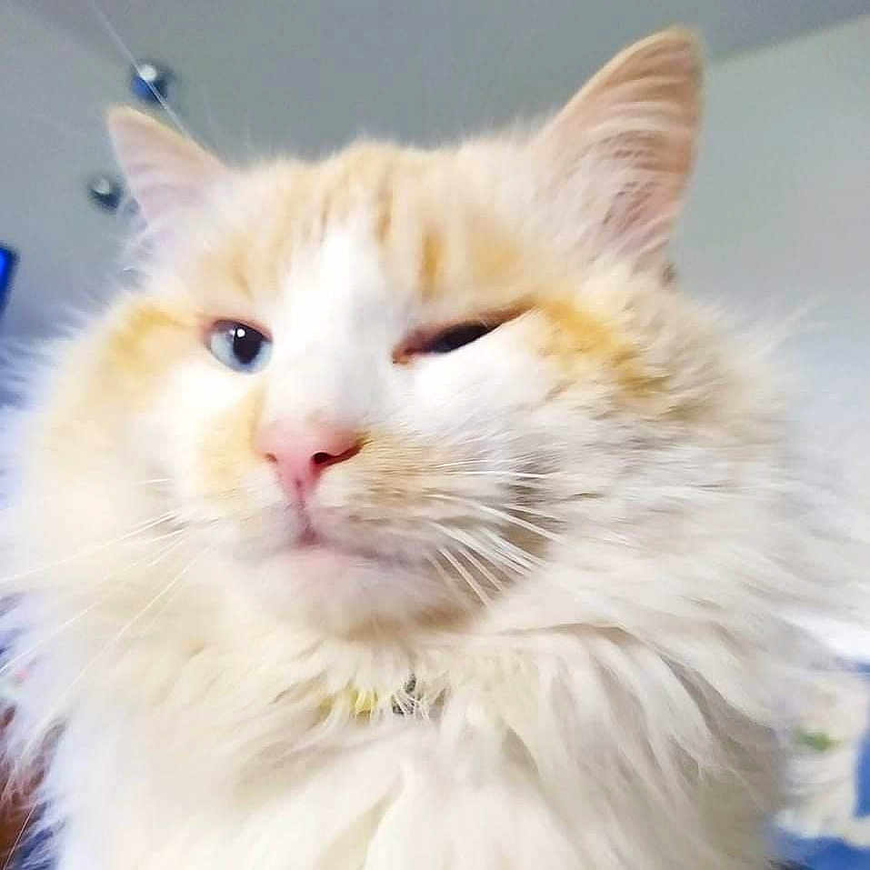 Bouba