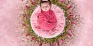 Aislinn joined the competition — help win amazing prizes! newborn, baby, pink, flower_arrangement, fluffy_cushion, headband, portrait, wrapped, soft_background, studio_photography, infant, peaceful, decorative, closeup, cute, child, floral, artistic, warm, adorable