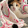 cat, calico, blanket, cozy, couch, feline, fur, indoor, lounge, patterned_blanket, pet, resting, snug, tail, texture, warm, wrapped, whiskers, cute, relaxed