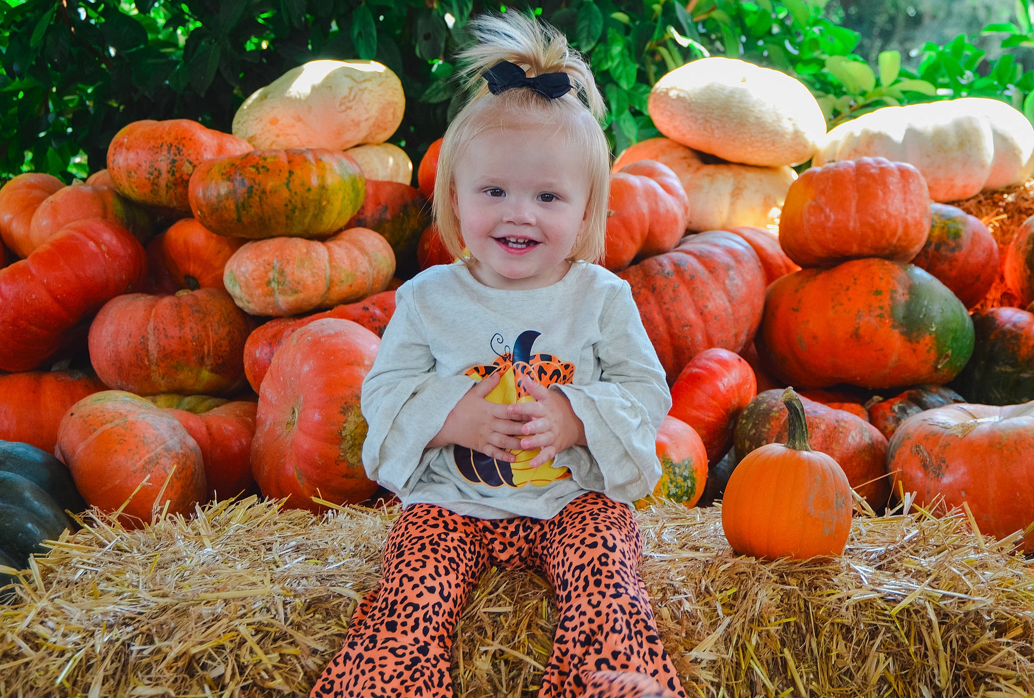 Carleigh is registered to the contest to win money with this photo: calabaza, cucurbita, eye, facial_expression, fruit, gourd, grass, happy, joy, mammal, natural_foods, orange, people_in_nature, person, photograph, plant, pumpkin, smile, squash, vegetable