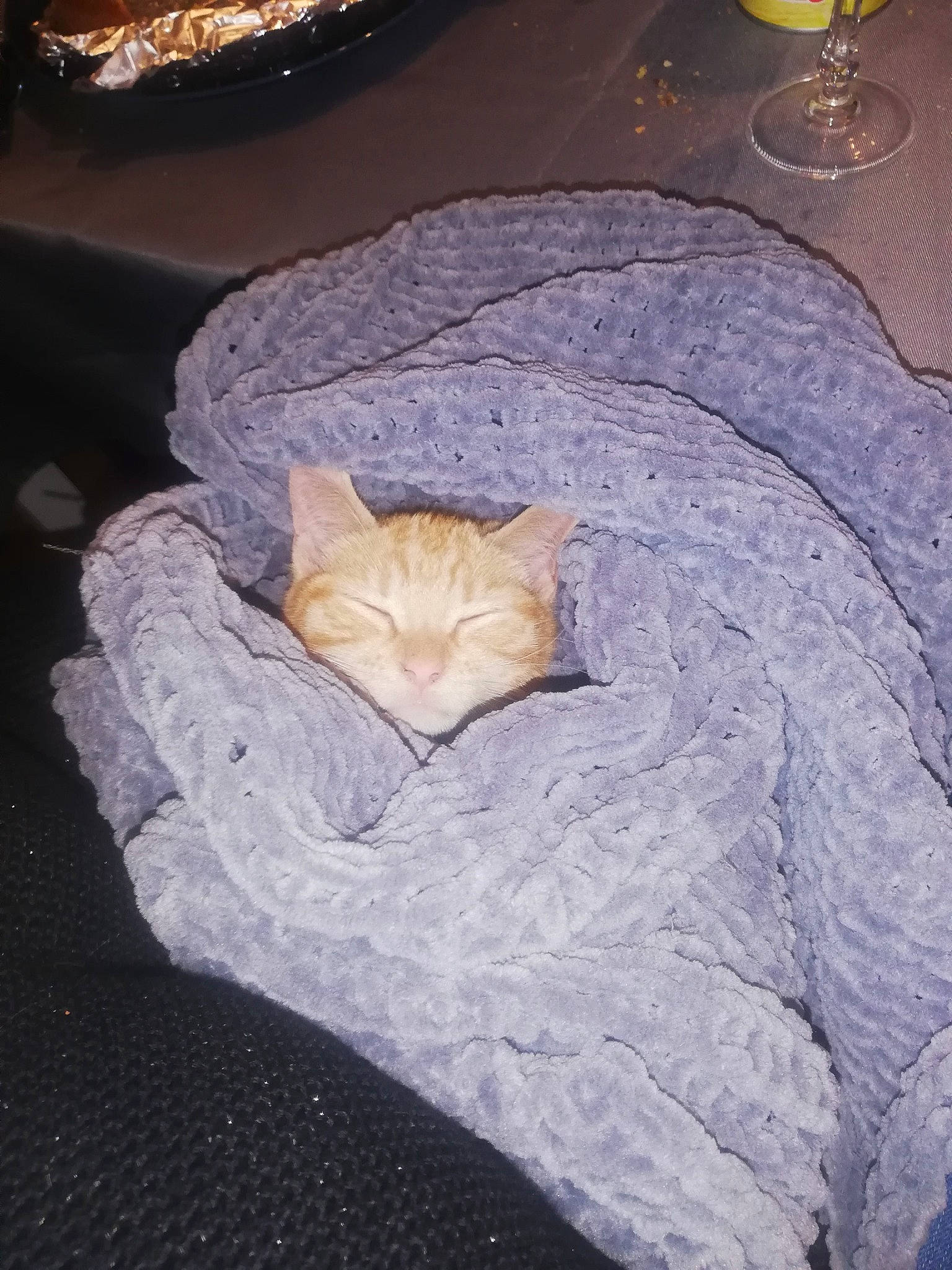 Sushi participe au concours pour gagner de l'argent avec cette photo : bed, bed_sheet, bedding, carnivore, cat, comfort, domestic_short_haired_cat, fawn, felidae, fur, grey, linens, pattern, small_to_medium_sized_cats, tail, textile, tree, whiskers, wine_glass, wood