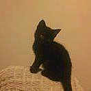 Binx