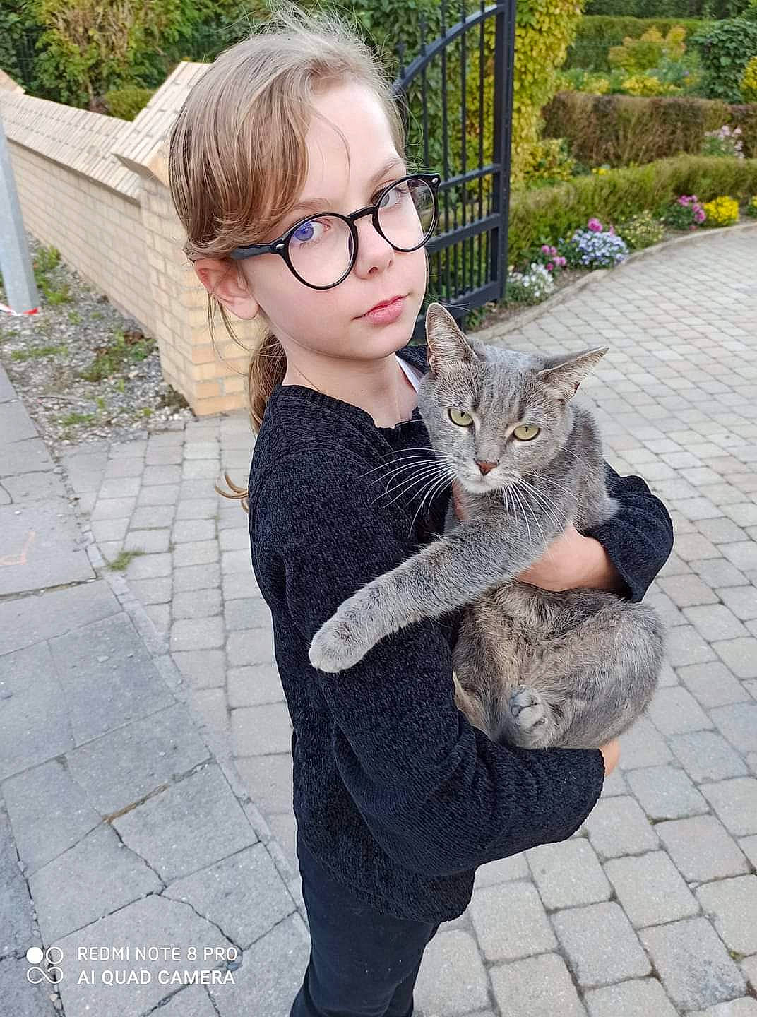 Maya participe au concours pour gagner de l'argent avec cette photo : carnivore, cat, eyewear, fawn, felidae, glasses, grass, grey, hair, hairstyle, head, neck, plant, shoulder, sleeve, small_to_medium_sized_cats, street_fashion, sunglasses, vision_care, whiskers