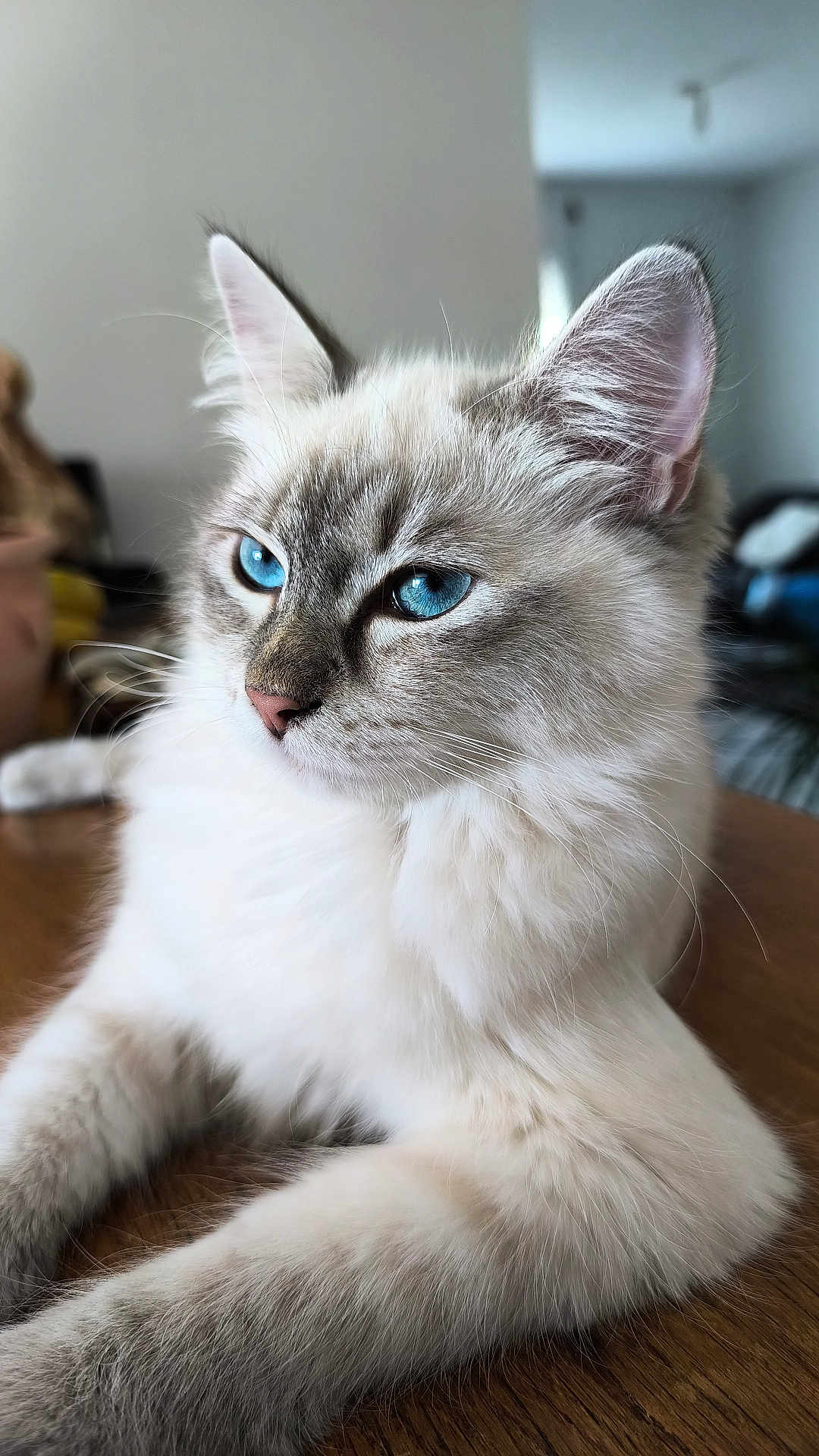 Aby