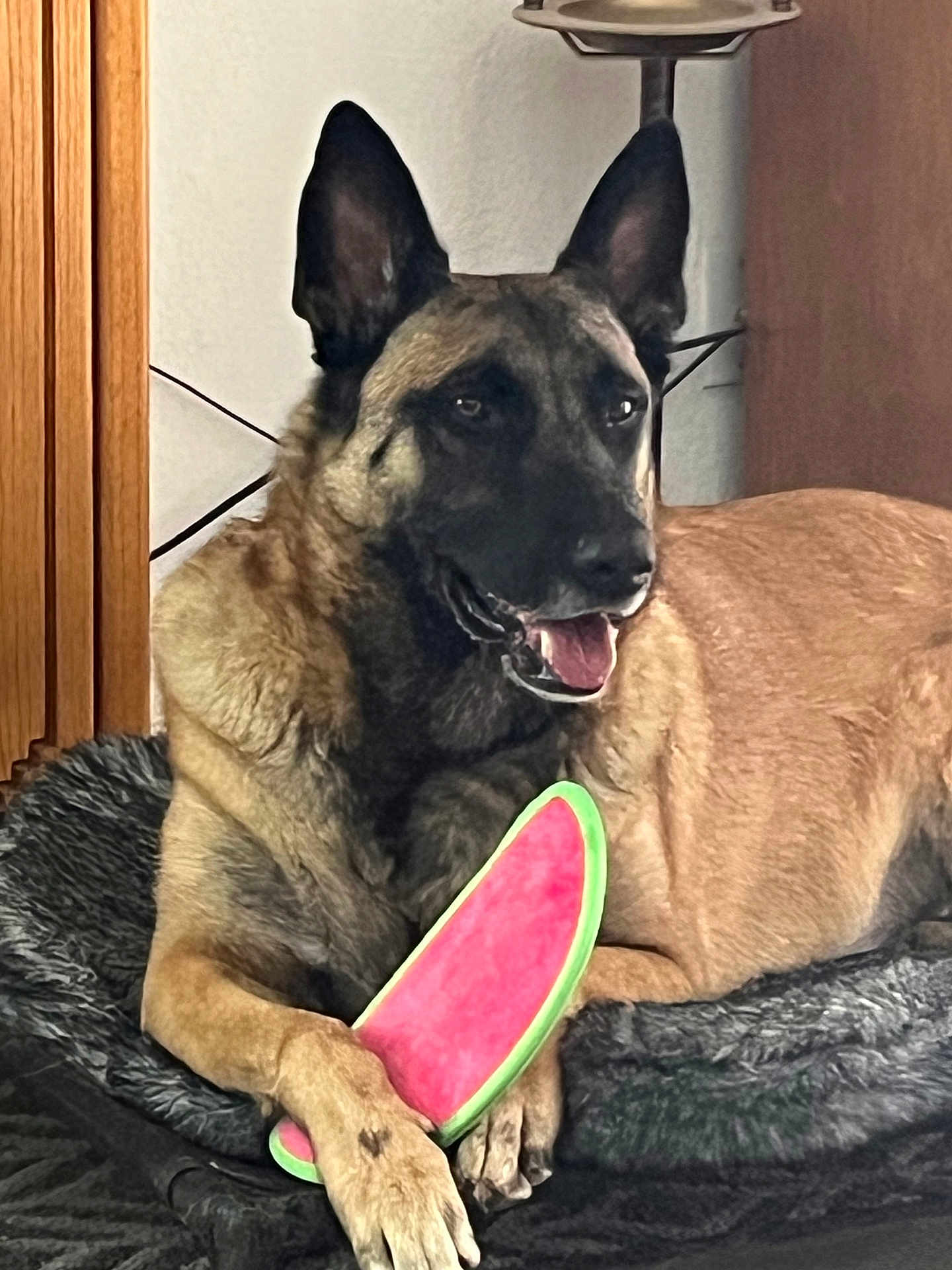 Duke