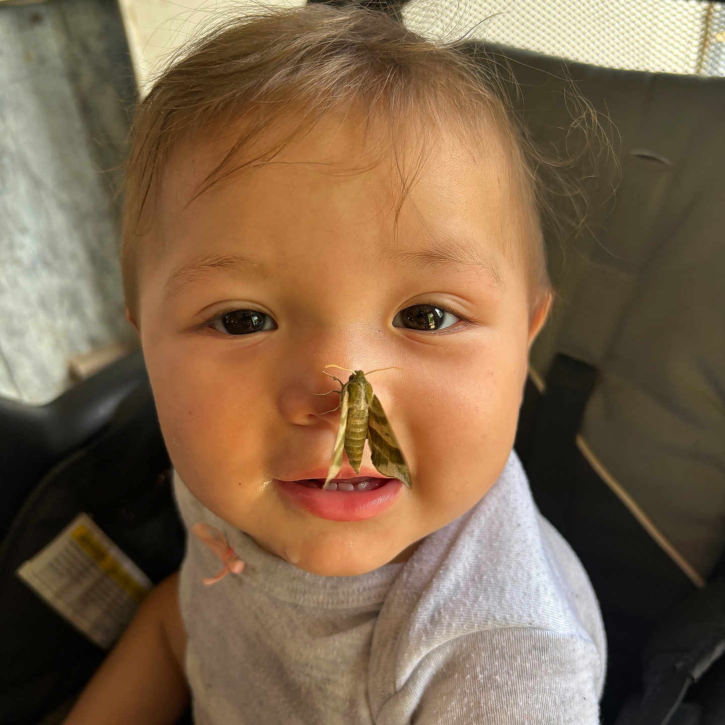 Marla joined the competition — help win amazing prizes! applique, arrow, arrowhead, baby, bodypart, clothing, cutlery, face, finger, hand, hat, head, mouth, pattern, person, photography, portrait, t_shirt, weapon, wood