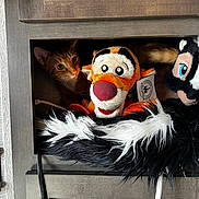Dodger is registered to the contest to win money with this photo: animal, cabinet, cat, closeup, cozy, curious, cute, eyes, fur, hiding, indoor, orange_tabby, peeking, pet, plush_toy, skunk, stuffed_animal, tigger, whiskers, wooden_furniture