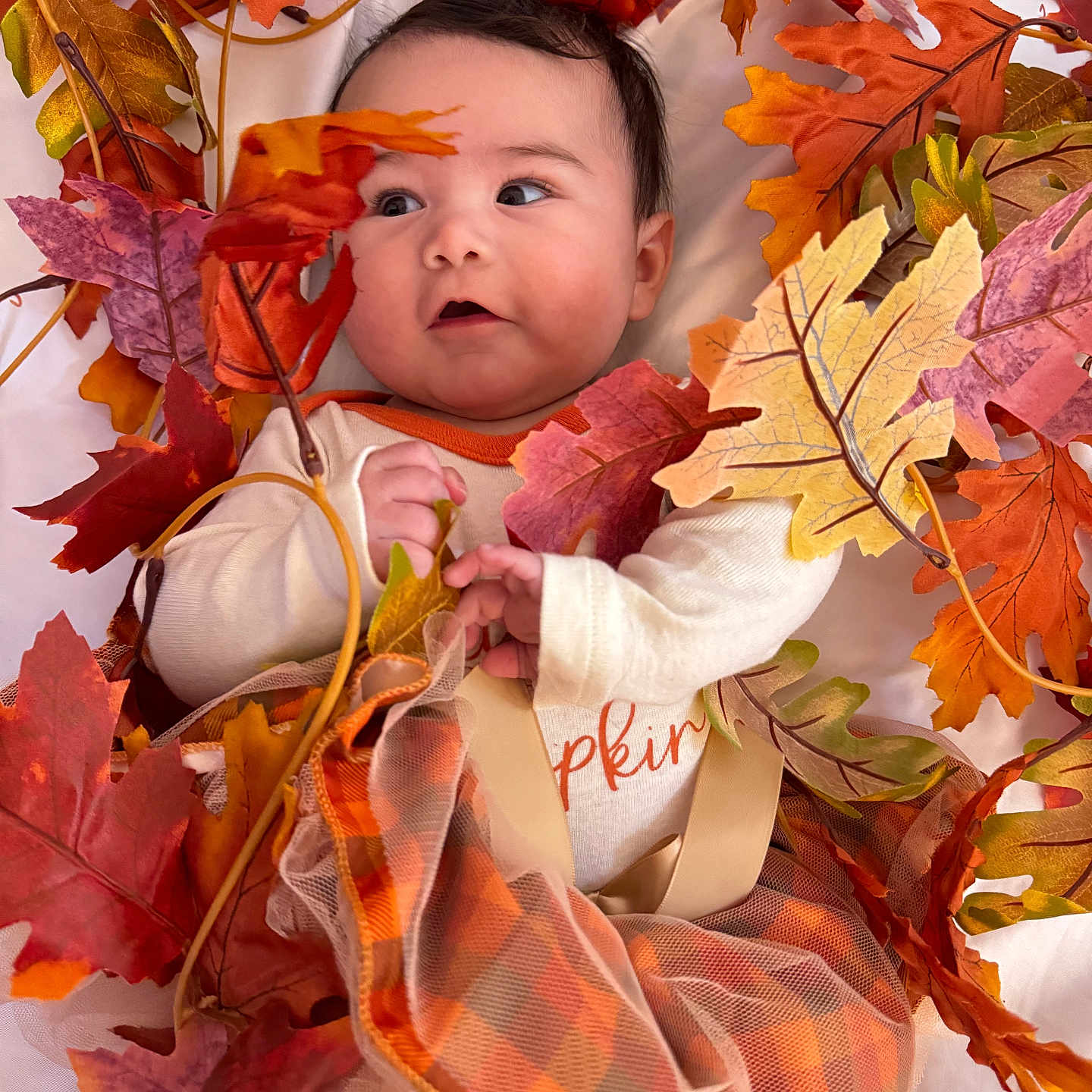 Kataleya joined the competition — help win amazing prizes! baby, bodypart, bonnet, clothing, face, finger, flower, hand, hat, head, leaf, maple, mapleleaf, newborn, person, photography, plant, portrait, quilt, tree