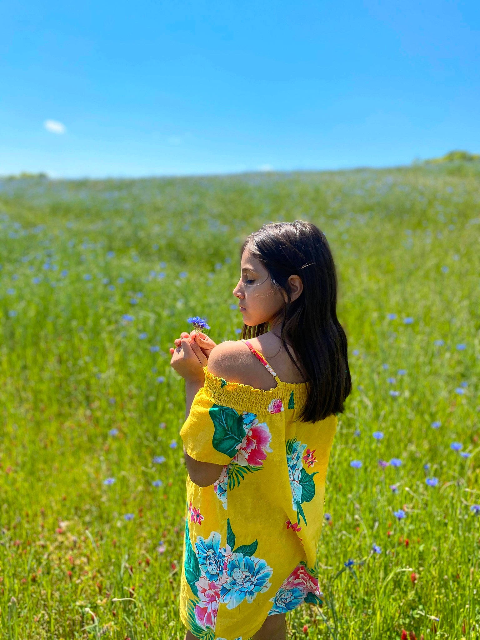 Jennifer joined the competition — help win amazing prizes! canola, child, crop, ecoregion, field, flower, grass, grass_family, grassland, happy, meadow, natural_environment, pasture, people_in_nature, person, plant, prairie, spring, summer, wildflower