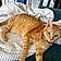 Gati Princess