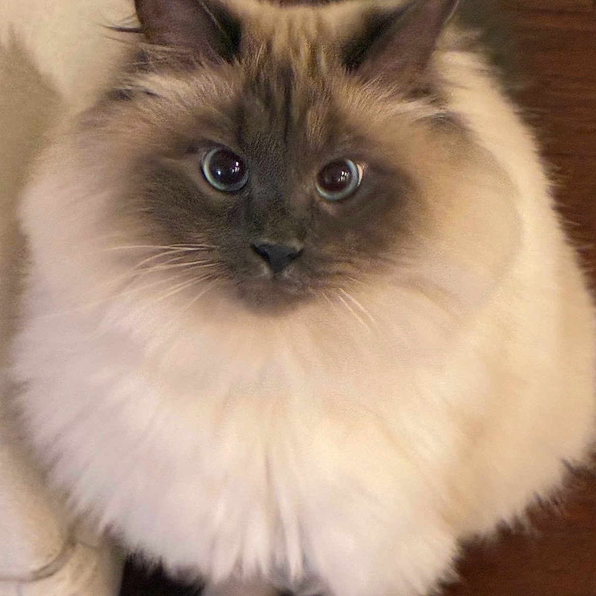 Jonesy