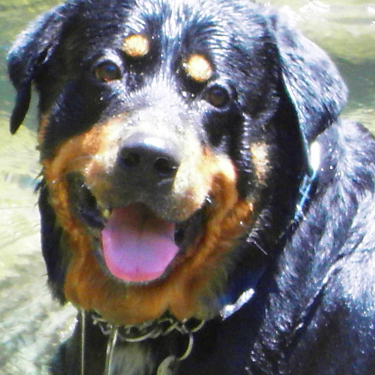 Boumack a rejoint le concours — aidez-le/la à gagner de superbes lots !