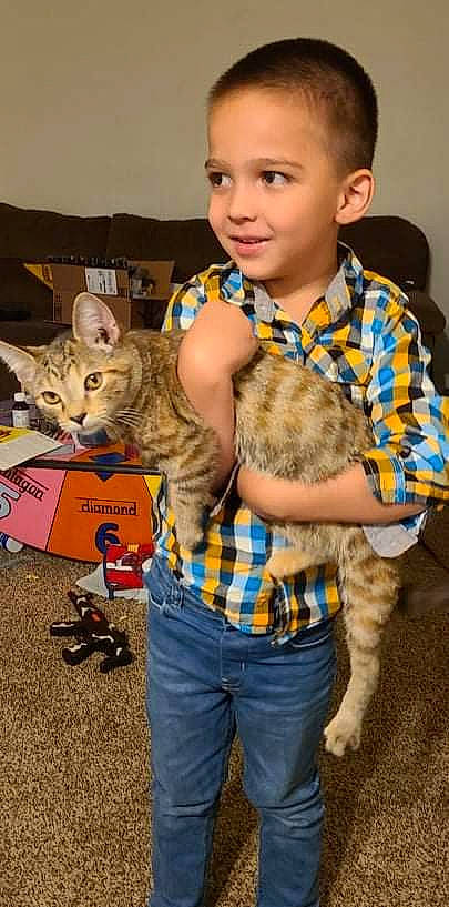 Azazel is registered to the contest to win money with this photo: baby_toddler_clothing, carnivore, cat, child, fawn, felidae, fun, happy, iris, mammal, organ, pattern, person, plaid, sleeve, small_to_medium_sized_cats, smile, snapshot, tartan, toddler