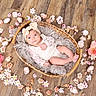 baby, infant, child, portrait, lying_down, basket, wicker, flowers, floral, headband, bow, white_clothing, lace, blanket, cushion, wooden_floor, indoor, newborn_photography, pastel, face