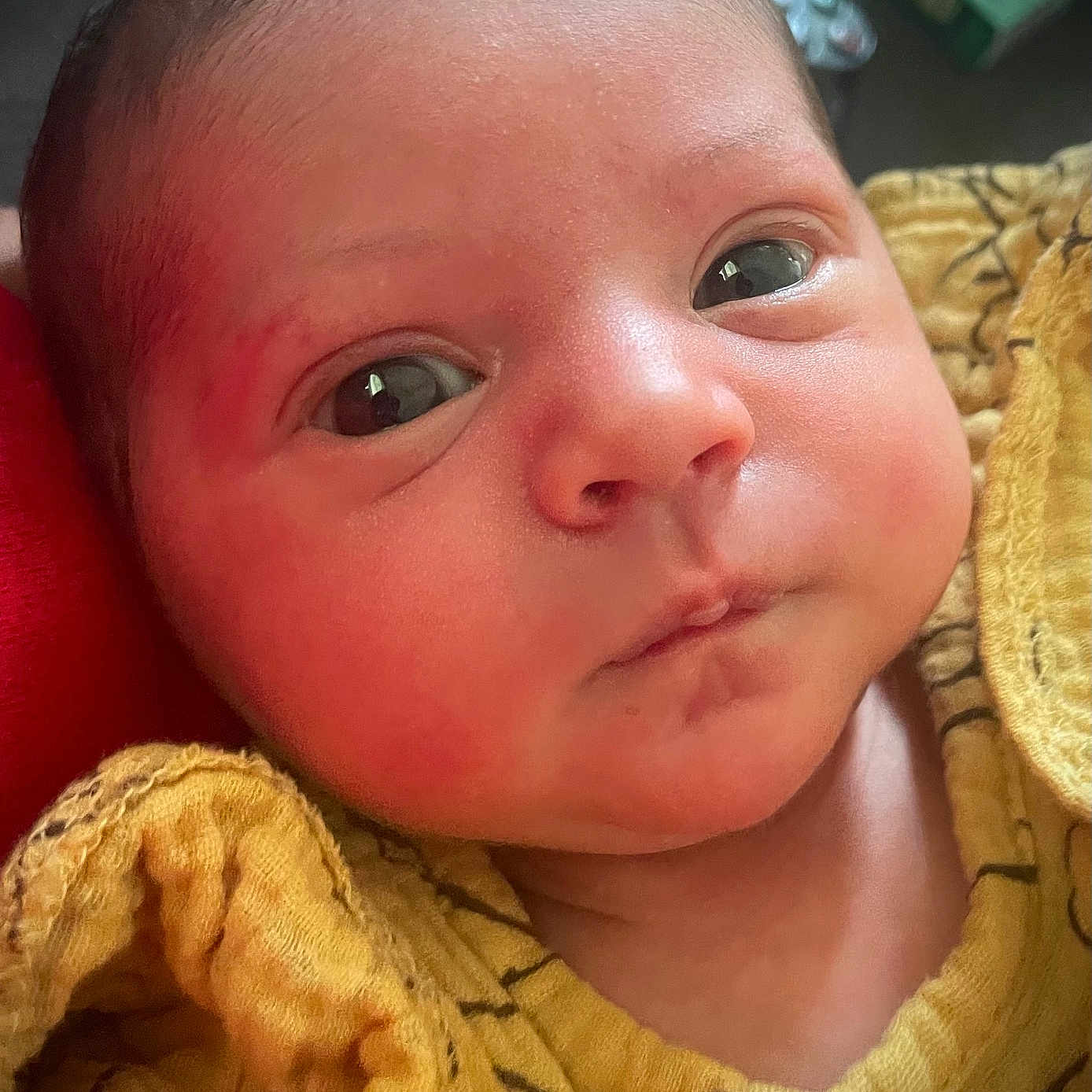 Heaven joined the competition — help win amazing prizes! baby, infant, face, eyes, yellow_blanket, closeup, newborn, skin, expression, cute, child, portrait, soft_light, indoors, young, curious, small, human, head, clothing