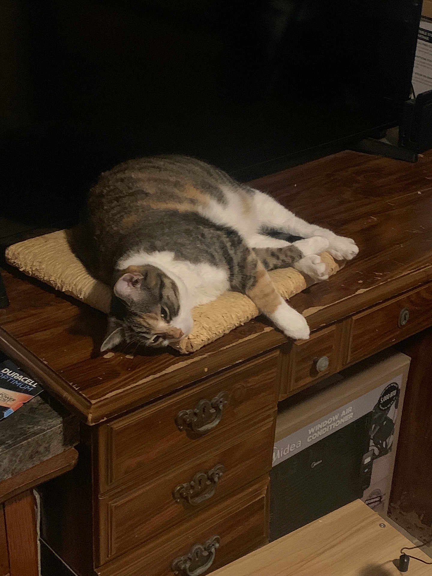 Miss. Kitten