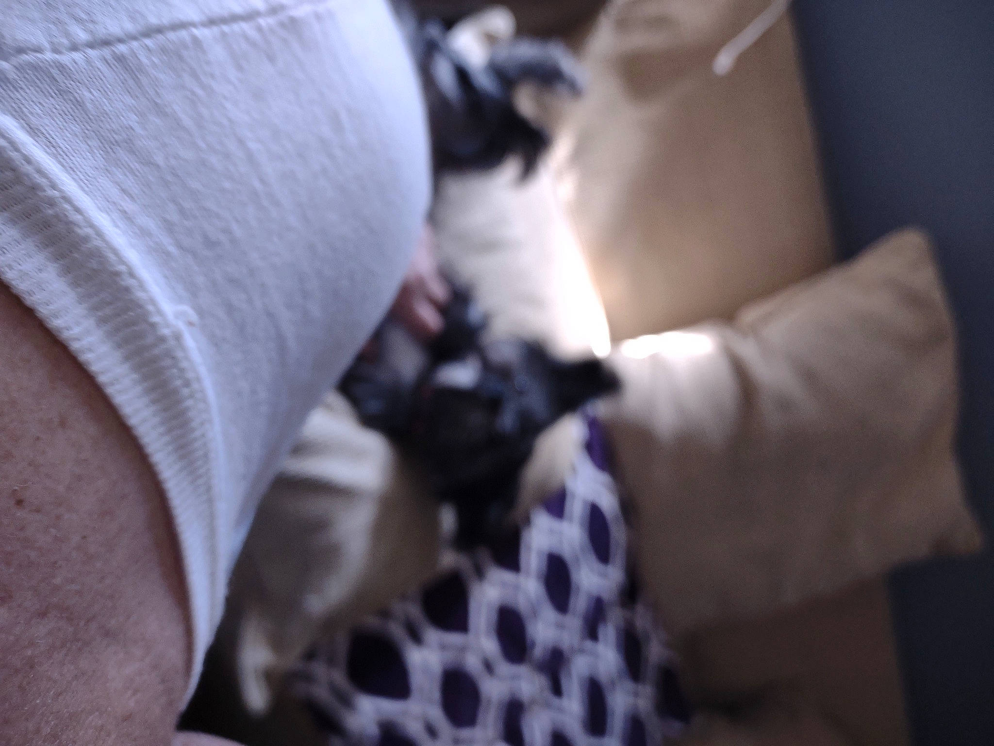 Rainy Poo joined the competition — help win amazing prizes! bedding, comfort, companion_dog, elbow, felidae, finger, foot, fur, gesture, human_leg, knee, linens, nail, pattern, room, sitting, sleeve, thigh, thumb, wrist